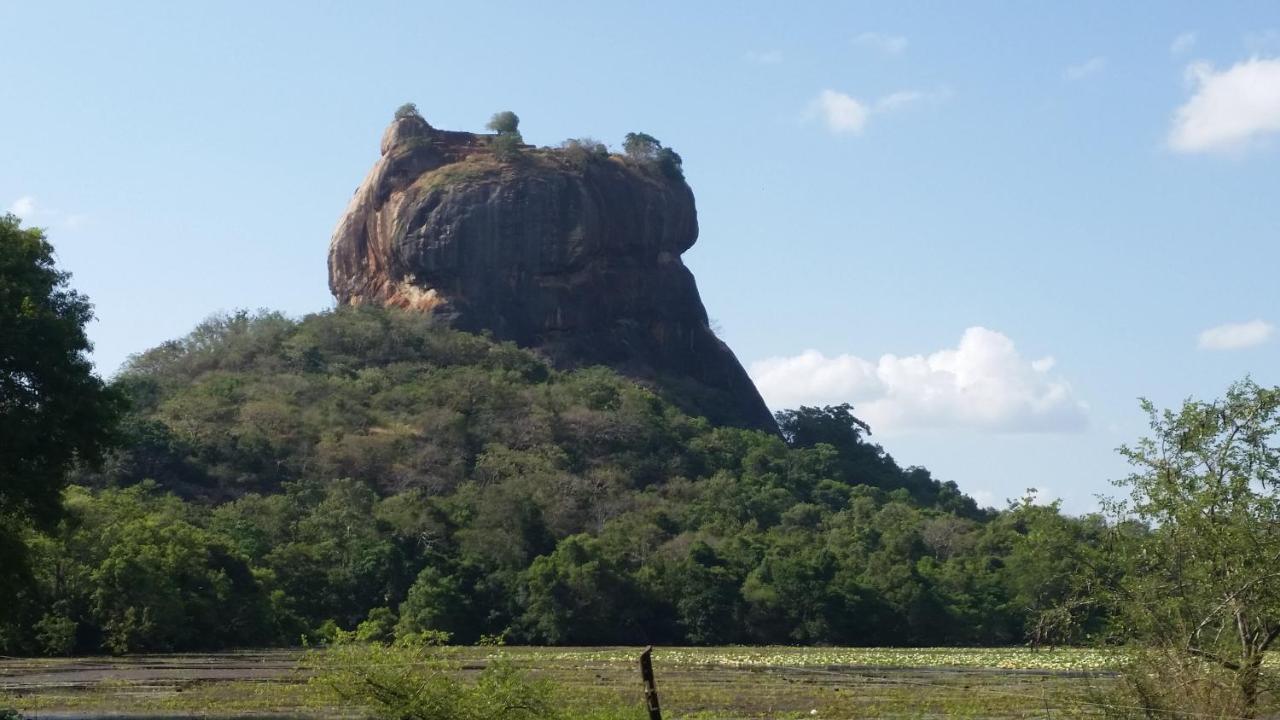 Rho Sigiriya Lake Edge Retreat Kibissa Exterior photo