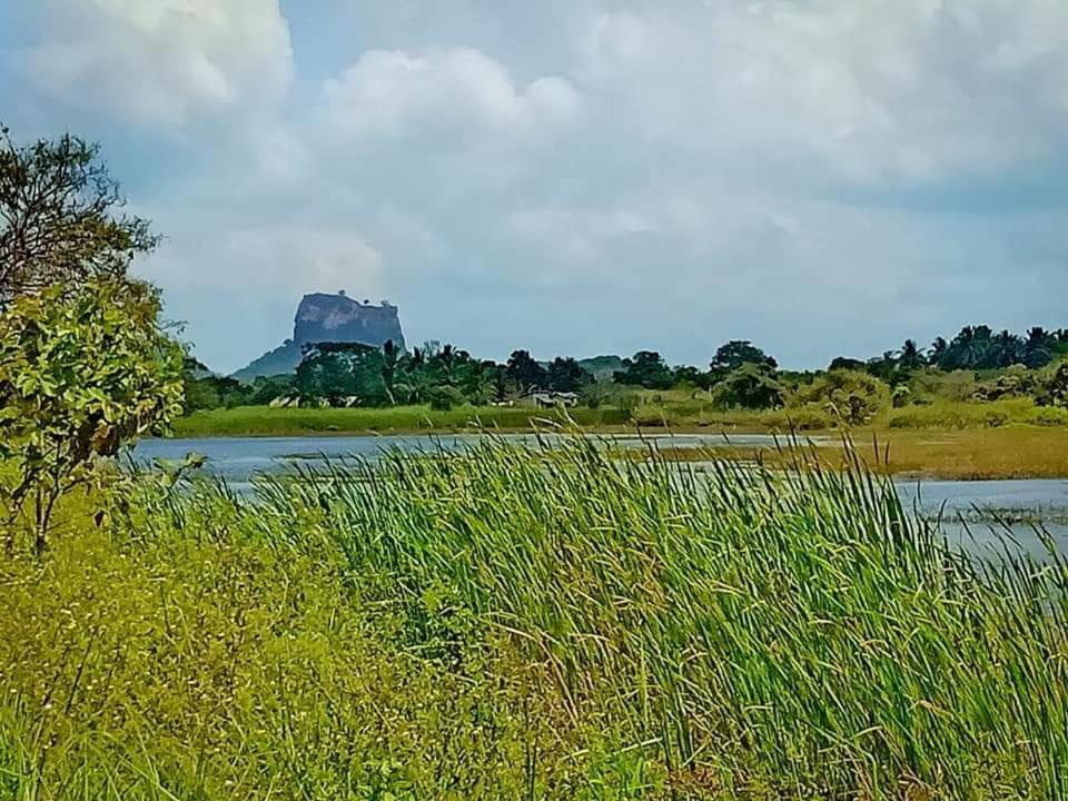 Rho Sigiriya Lake Edge Retreat Kibissa Exterior photo