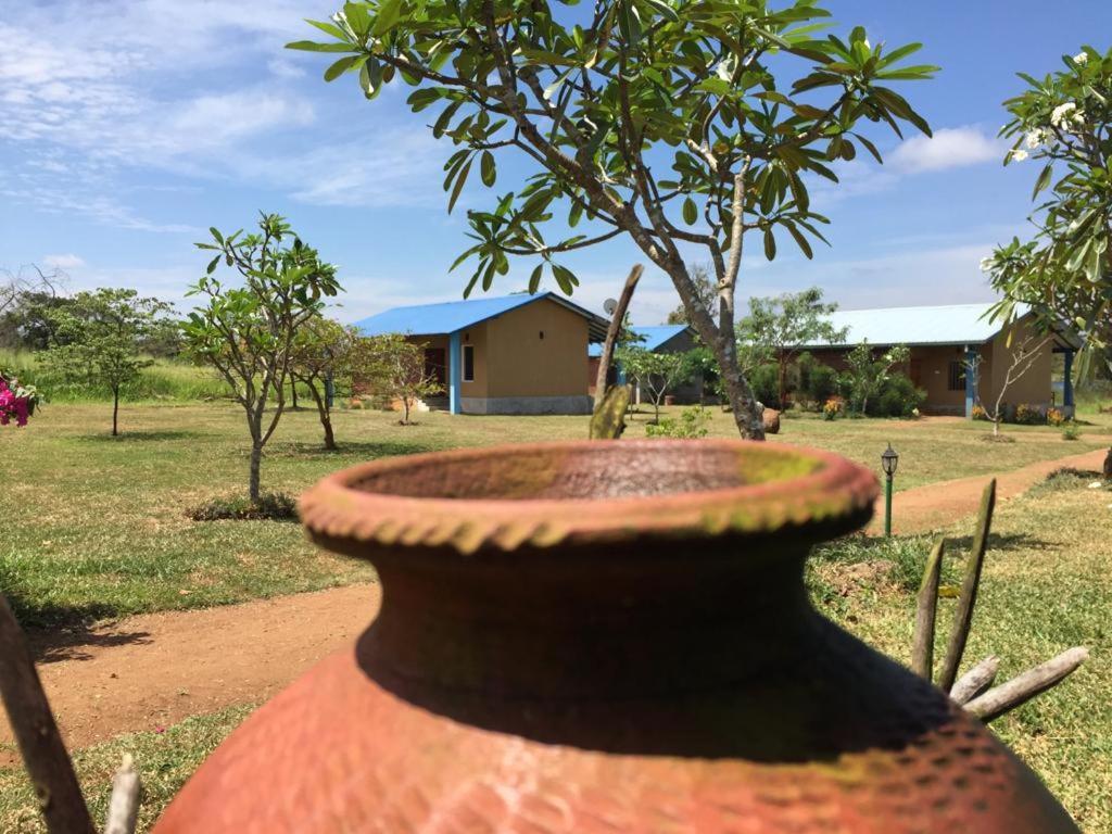 Rho Sigiriya Lake Edge Retreat Kibissa Exterior photo