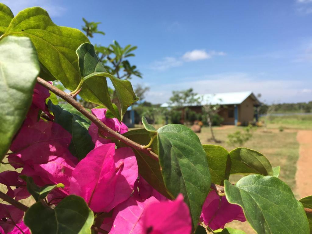 Rho Sigiriya Lake Edge Retreat Kibissa Exterior photo